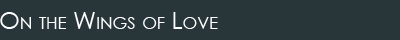 On the Wings of Love