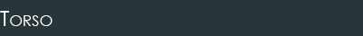 Torso